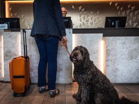 is the marriott pet friendly|List of Pet.